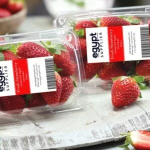 Egyptian Fresh Strawberry