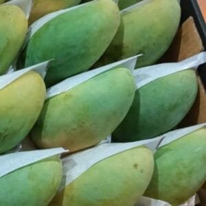 Egyptian Fresh Mango Zebdeya