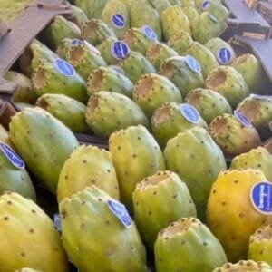 Egypt Supplier Figs - Cactus Pears