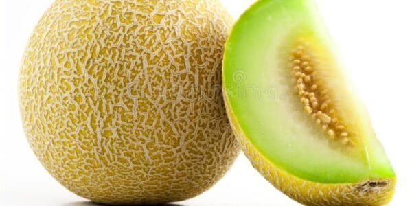 Egypt Supplier Fresh Cantaloupe