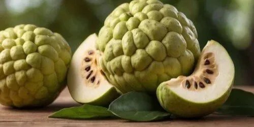 Egypt Supplier Fresh Custard Apple