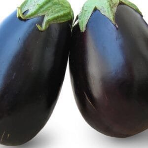 Egypt Supplier Fresh Egg Plant