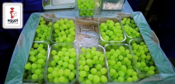 Egypt Supplier Fresh Green Grapes