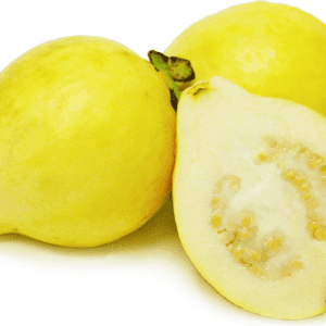 Egypt Supplier Store - Fresh Guava