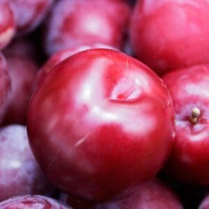 Egypt Supplier Fresh Red Plums