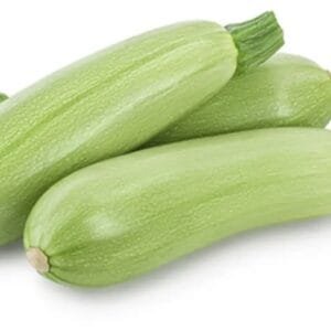 Egypt Supplier - Fresh Zucchini