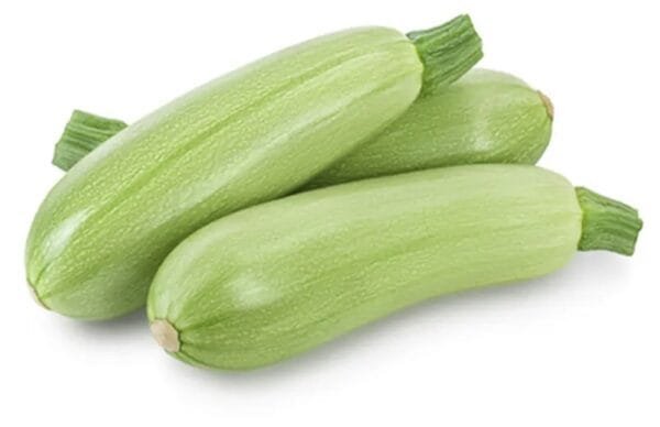 Egypt Supplier - Fresh Zucchini