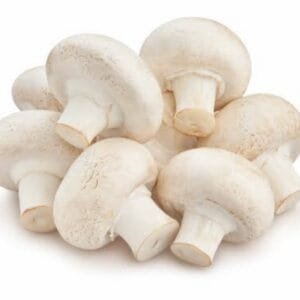 Egypt Supplier - Fresh Mushroom