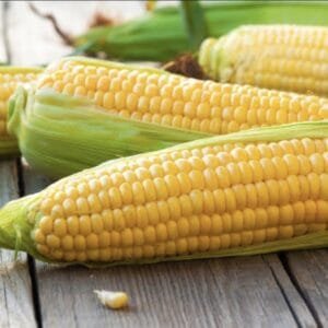 Egypt Supplier - Sweet Corn