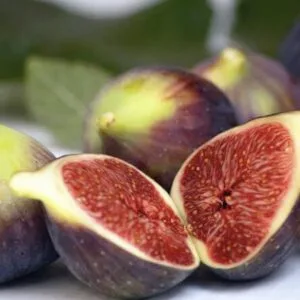 Figs 5Kg