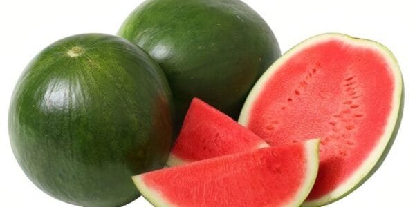 Egypt Supplier Watermelon