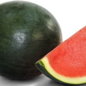 Egypt Supplier - Fresh Watermelon