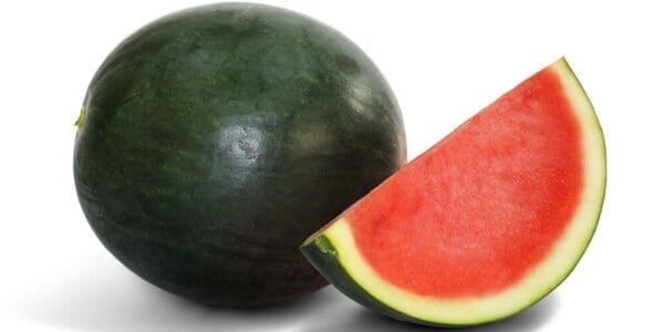 Egypt Supplier - Fresh Watermelon