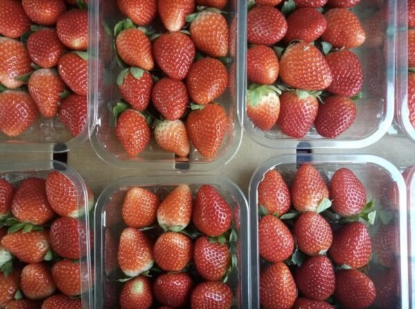 Fresh strawberry - Image 2