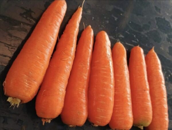 Fresh carrots - Image 2