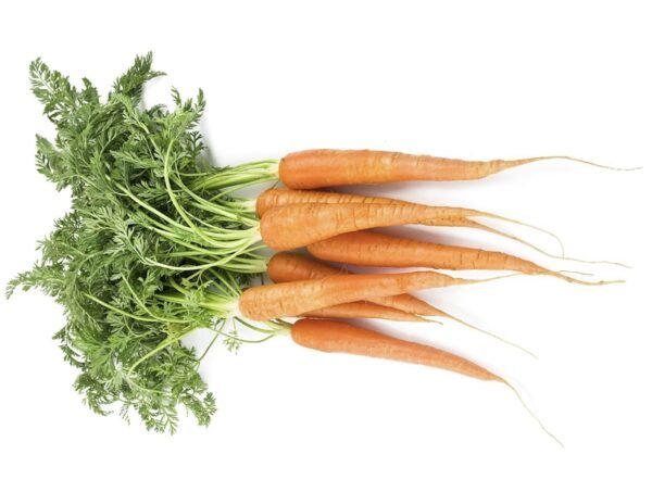 Fresh carrots