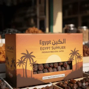 Egypt Supplier - Egyptian Premium Medjool Dates
