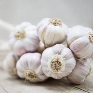 Egyptian Fresh White Garlic