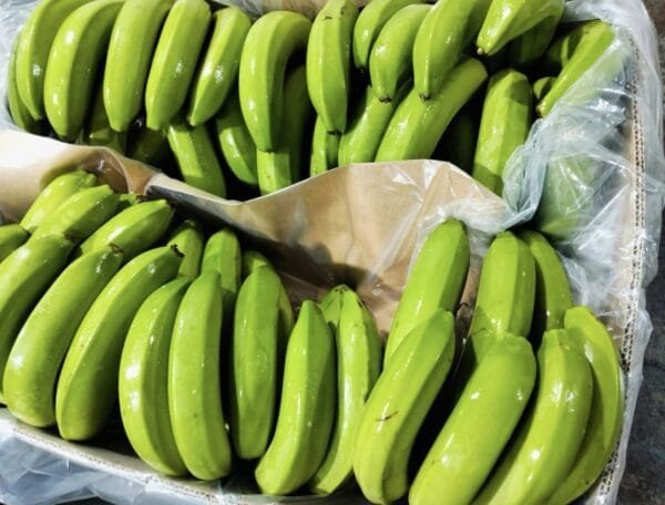 Egyptian Fresh Banana