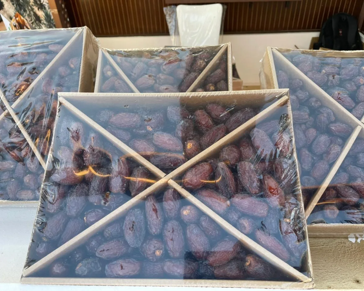 Egypt Supplier - Egyptian Premium Medjool Dates