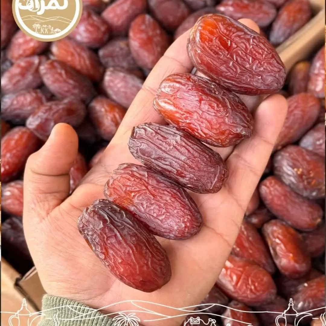 Egypt Supplier - Egyptian Premium Medjool Dates