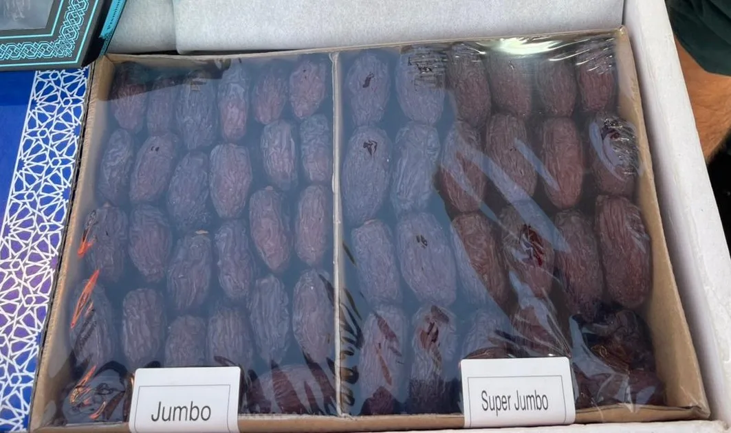 Egypt Supplier - Egyptian Premium Medjool Dates